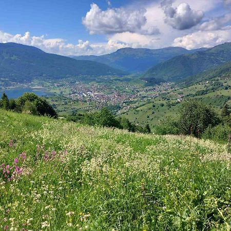 Viewpoint Kofiljaca Bed & Breakfast Plav Bagian luar foto
