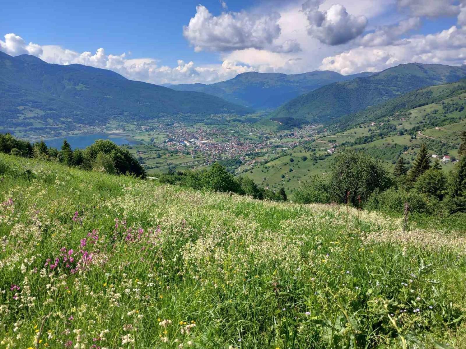 Viewpoint Kofiljaca Bed & Breakfast Plav Bagian luar foto